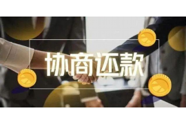 南城为什么选择专业追讨公司来处理您的债务纠纷？